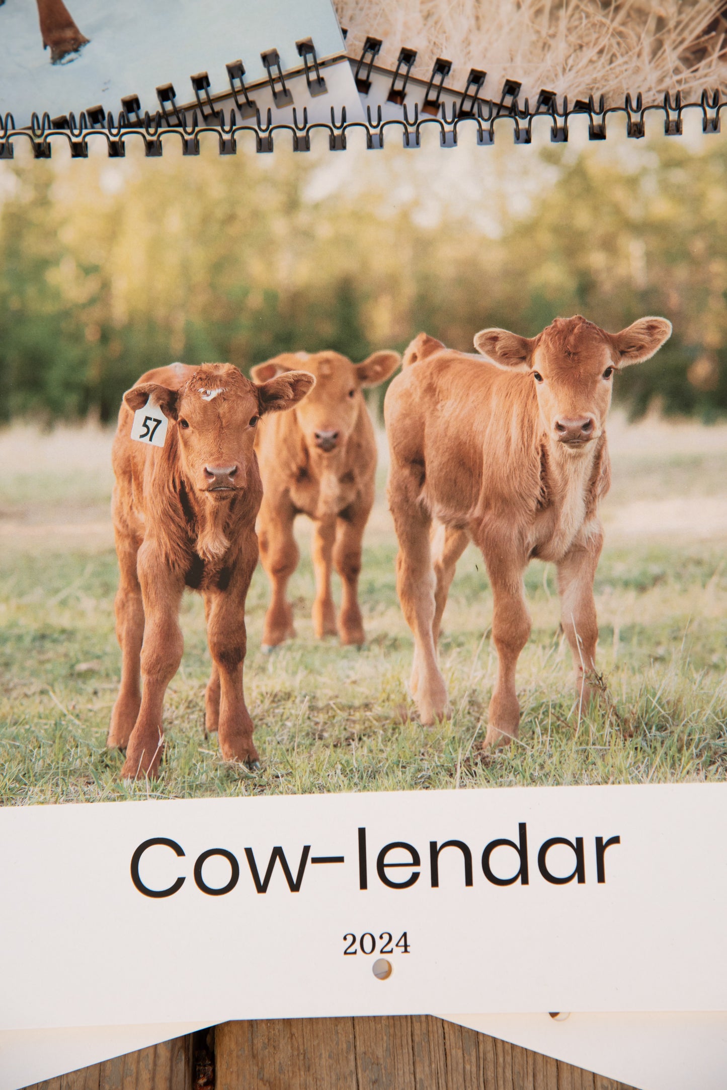 2025 Cow Calendar (Cow-lendar)