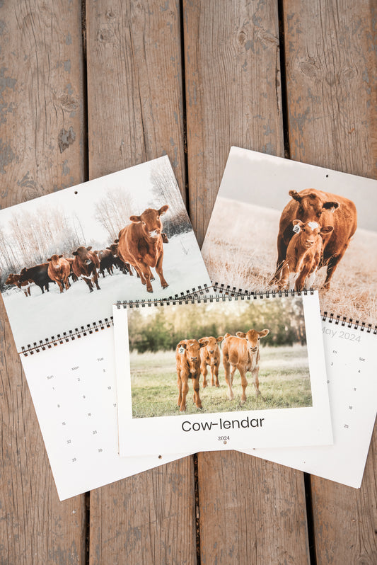 2025 Cow Calendar (Cow-lendar)