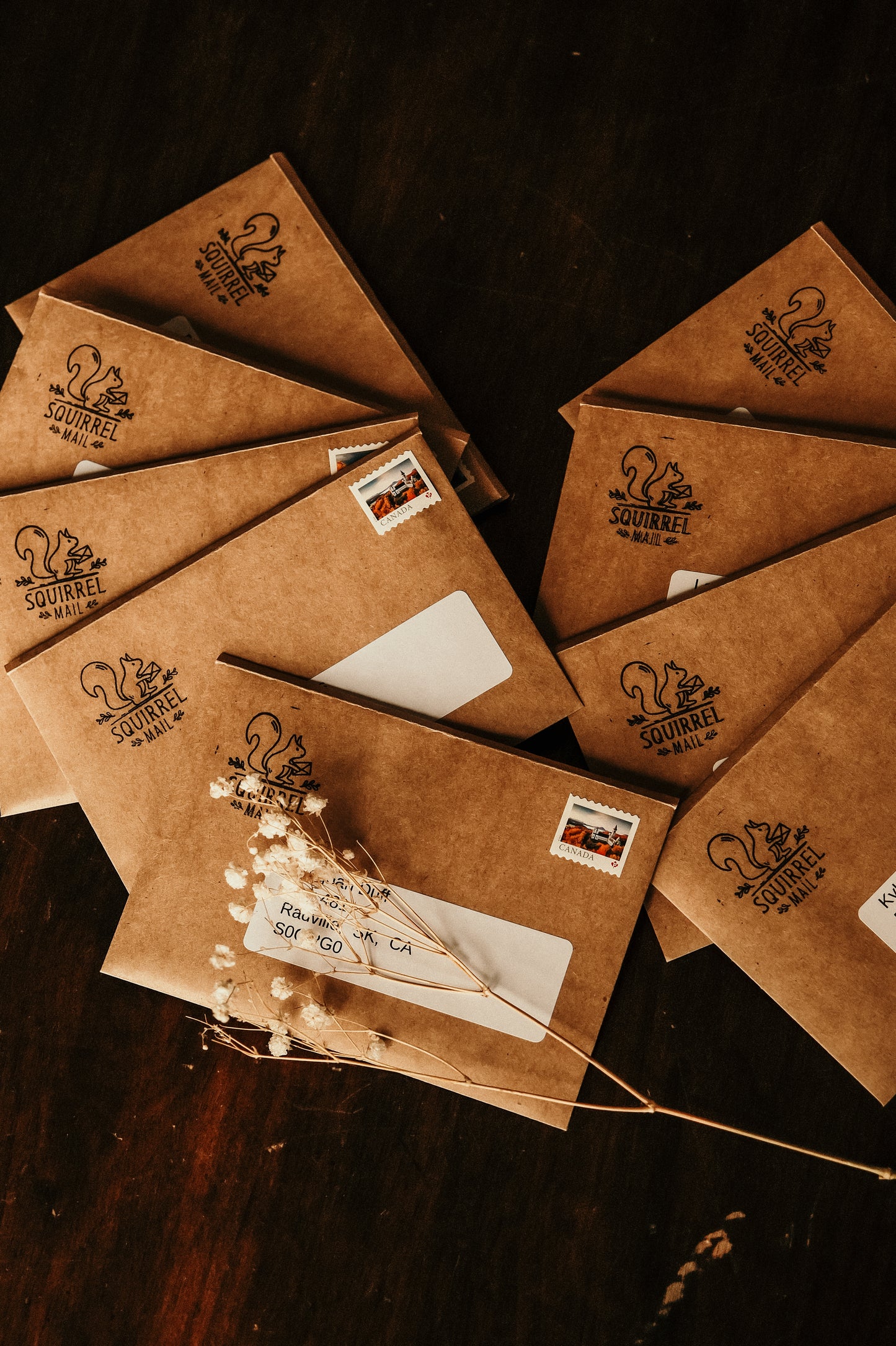 Squirrel Mail