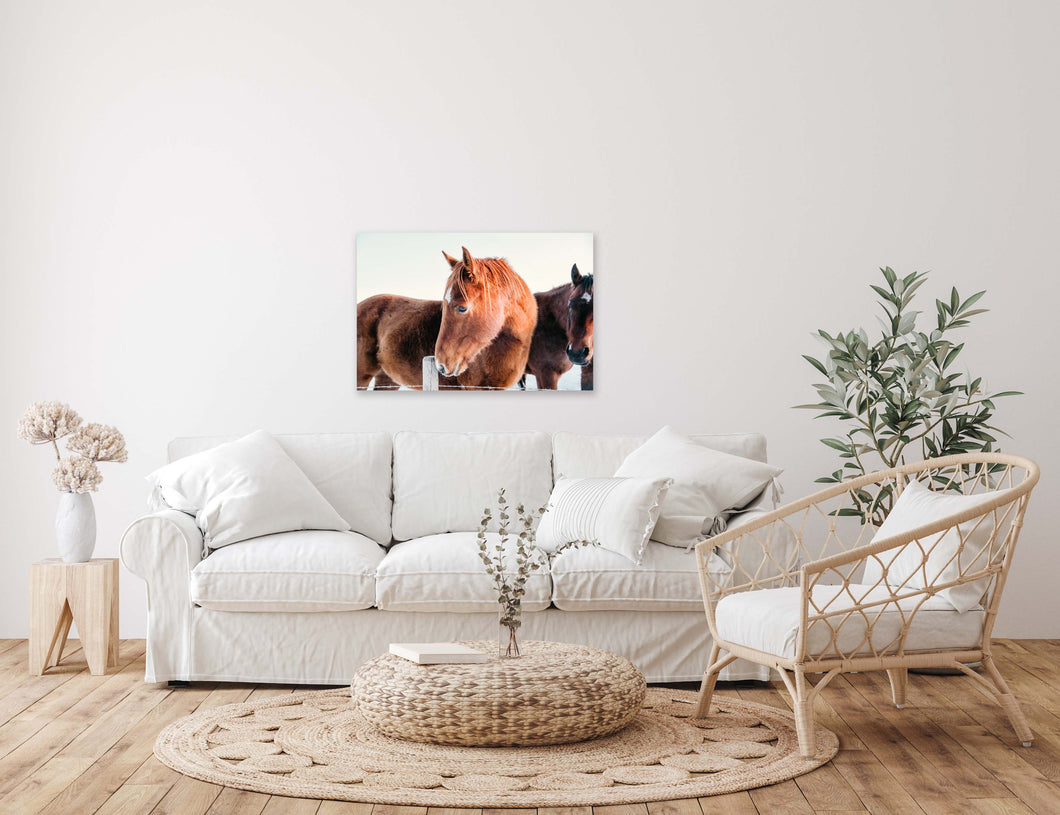 Life Thoughts - Canvas Print