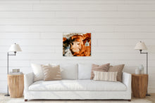 Load image into Gallery viewer, Nosy Cow - Canvas Print
