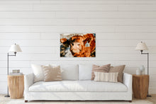 Load image into Gallery viewer, Nosy Cow - Canvas Print
