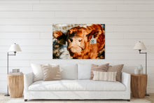 Load image into Gallery viewer, Nosy Cow - Canvas Print
