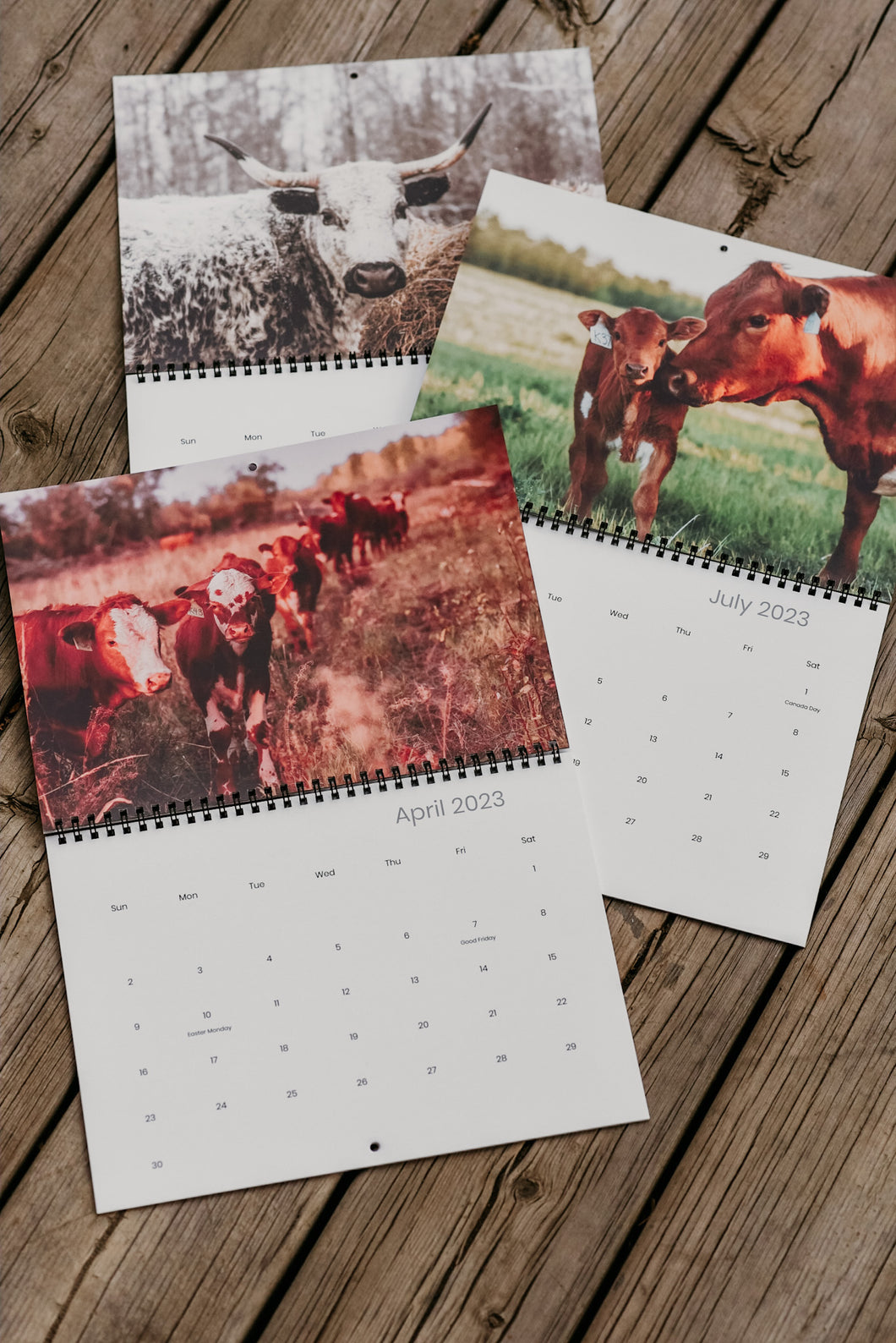 2023 Cow Calendar
